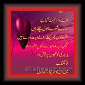 Wasi Shah 001 * 25.04.2007 * 383 x 604 * (19KB)